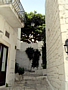 Ostuni - Via Pergola