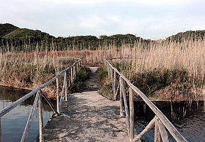 Parco delle Dune Costiere tra Torre Canne e Torre San Leonardo