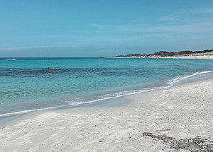 Torre Guaceto beach